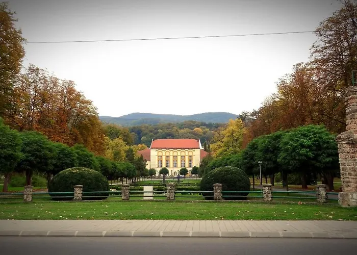 Daire Dijamant Banja Koviljača